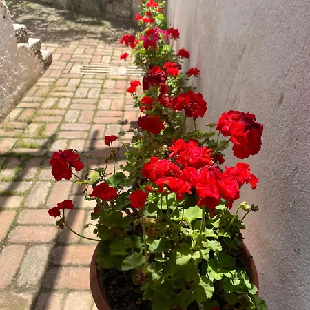 B&B Corte San Lussorio-3
